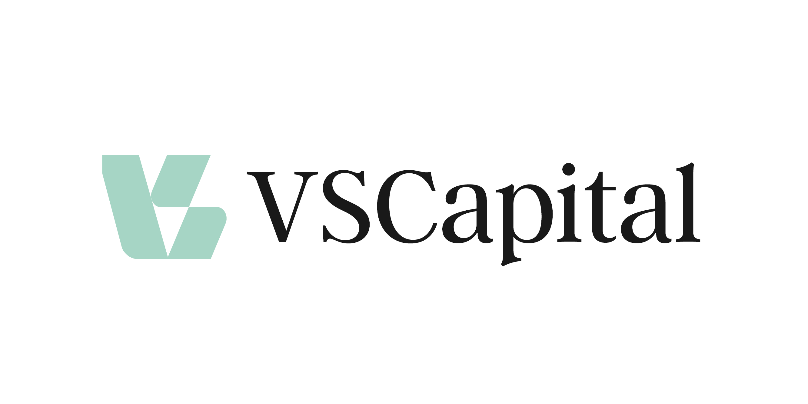 VS Capital